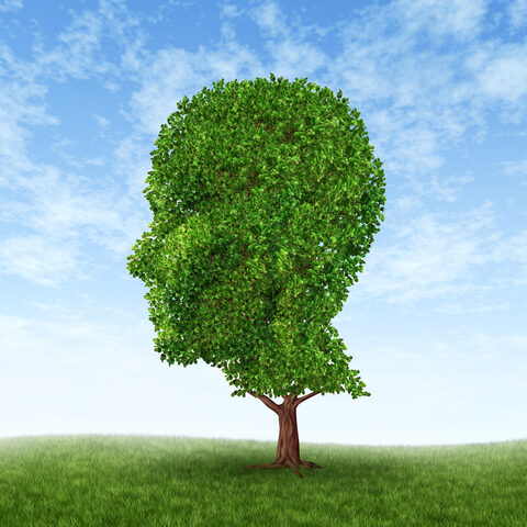 Personal Growth with coaching Growth with coaching, Wendy Dolber